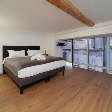Apartamento Immersive Loft, 2 Bedrooms, Downtown, Parking Annonay